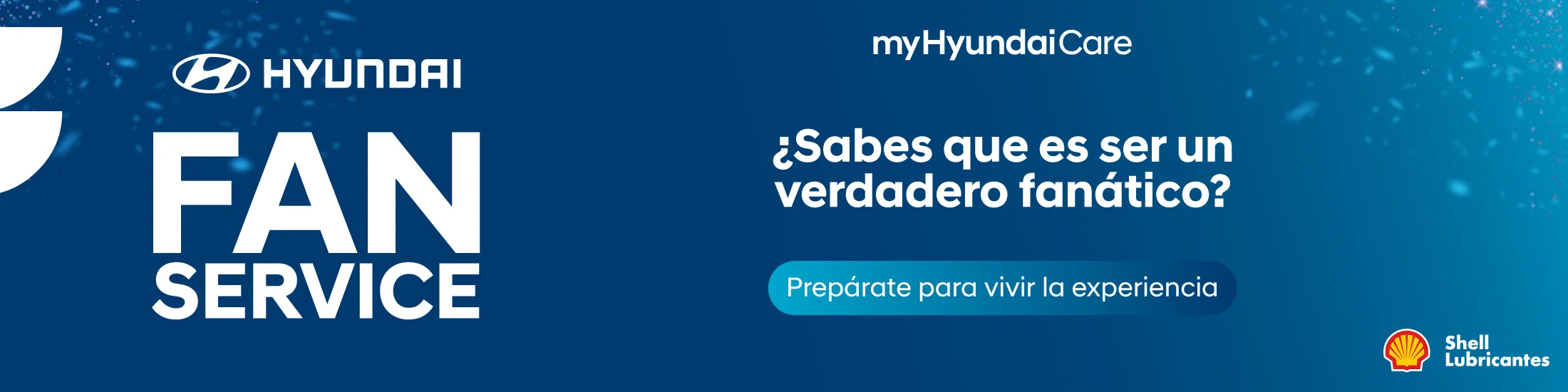 Hyundai Fan Service - GrupoQ